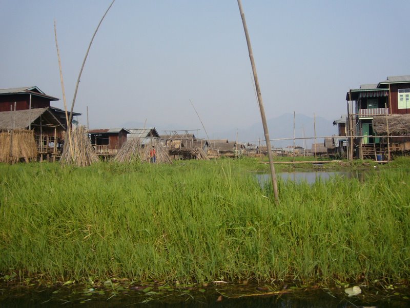 Travel - Myanmar - Inle Lake - First Boat Trip - The boat-drivers village - Into the village